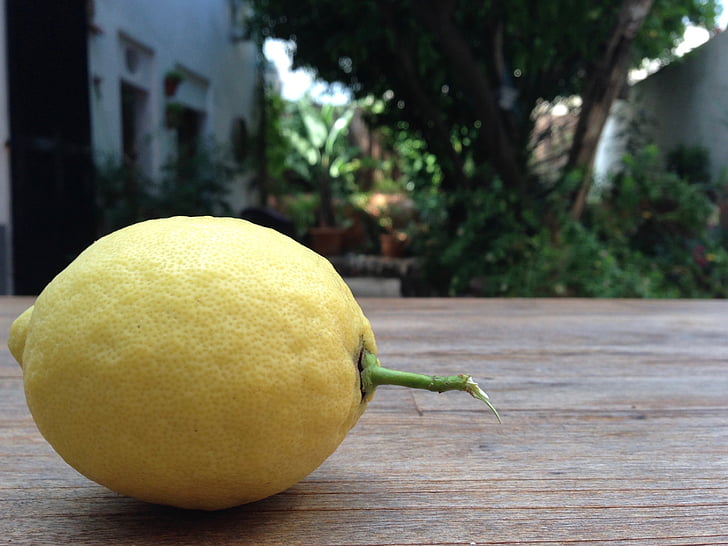 citron, gul, frukt, stilla liv, plockade, Stäng, Medelhavet