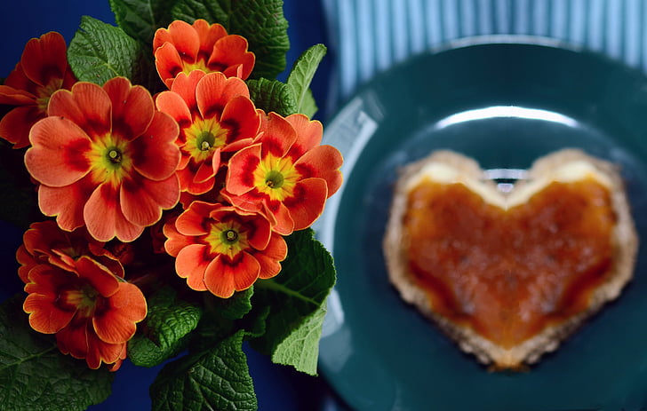 primroses, bread, plate, breakfast, cover, invitation, snack