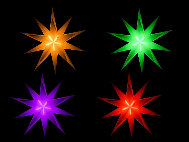Christmas, poinsettia, Star, décoration, décoration de Noël, temps de Noël, collection