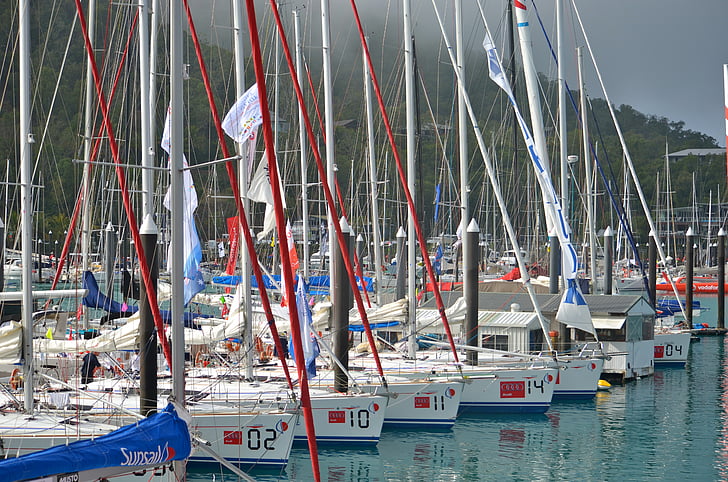 bateaux, yachts, voile, cycle de course, île de Hamilton, bateau, vacances