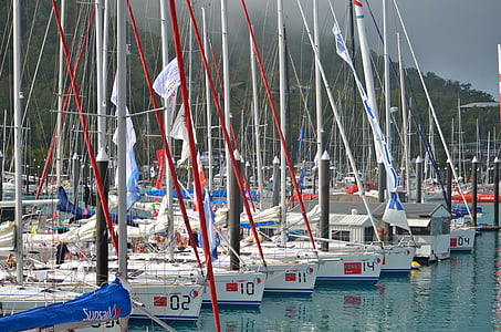 båtar, Yachts, segling, Race runt, Hamilton island, fartyg, semester