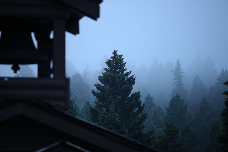 fog, tree, evergreen, forest, haze, bell, nature
