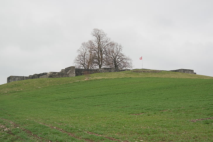Castle, Kastell irgenhausen, romerske fort, irgenhausen, Pfäffikon, Schweiz, limefrugter