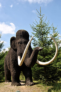 escultura, escultura animal, mamut de lana, urzeittier, paisaje, Parque, abetos