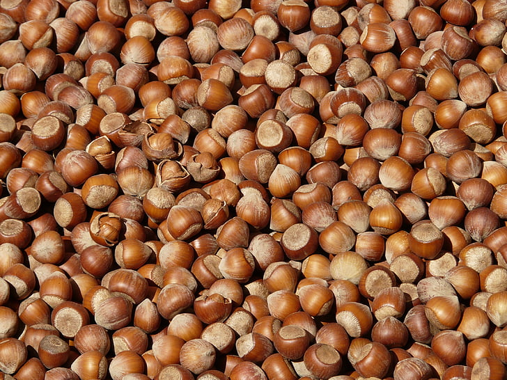 hazelnuts, brown, nuts, open, shells, market