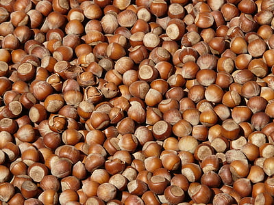 hasselnötter, brun, nötter, öppna, snäckor, marknaden