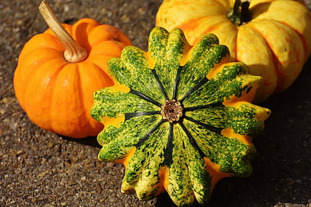 labu, squashes dekoratif, alam, musim gugur, dekorasi, warna-warni, sayuran