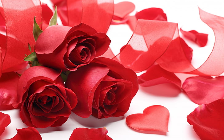 Rosas, corazón, amor, símbolo, Romance, San Valentín, rojo