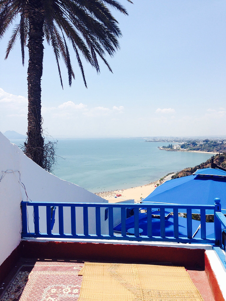Dovolenka, Tunisko, Palm, more, modrá, balkón, Cruise