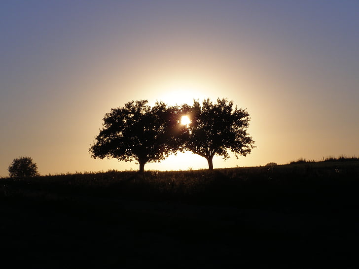 pôr do sol, oeste, paisagem, noite, o sol, cartão postal vista, árvore