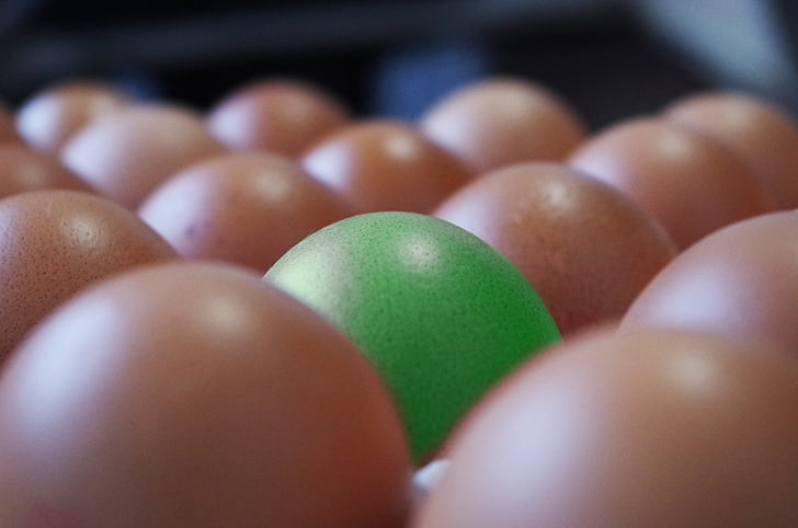 quả trứng, container, màu nâu, lòng đỏ, lòng trắng trứng, khác