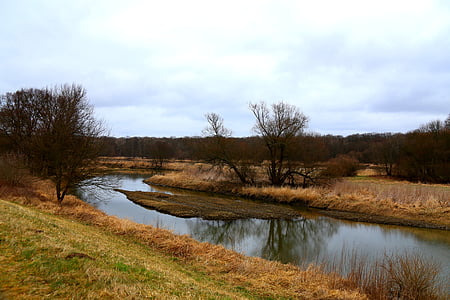 Rijeka odra, drvo, trava, krajolik, zelena, priroda, Poljska