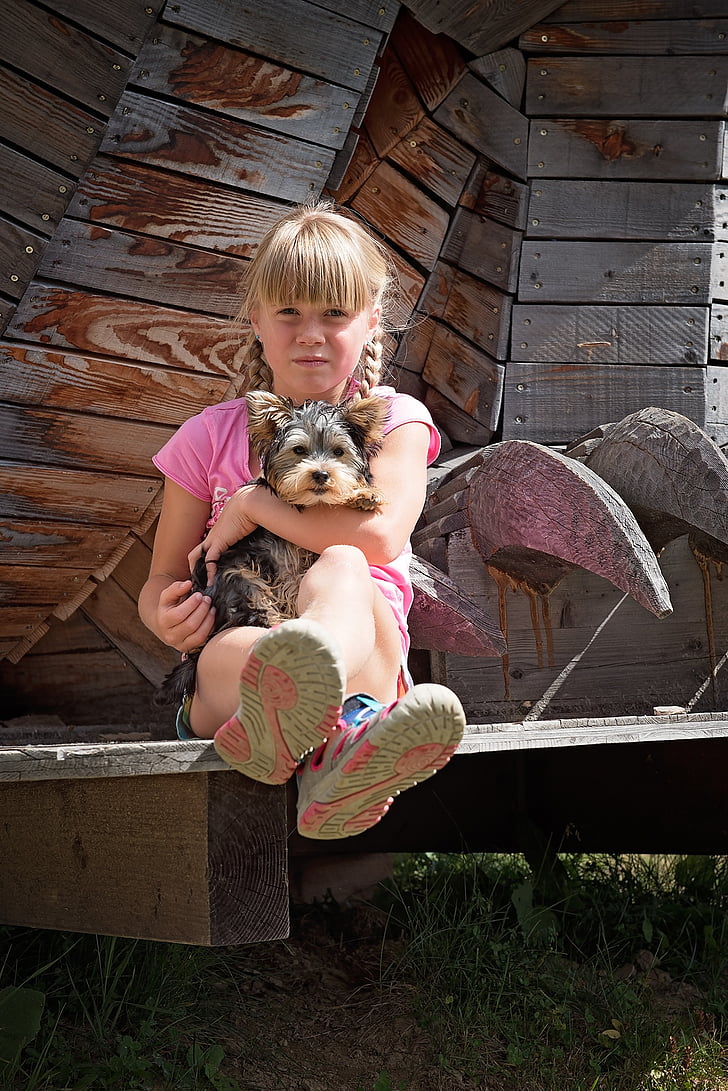 child, girl, blond, dog, small dog, young animal, person