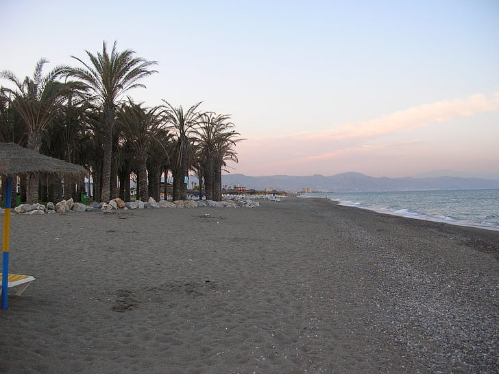Torremolinos, Beach, havet, Spanien, City, palmer, kystlinje