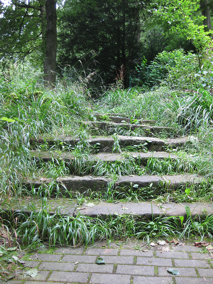 stairs, forest, nature, stone stairway, forest path