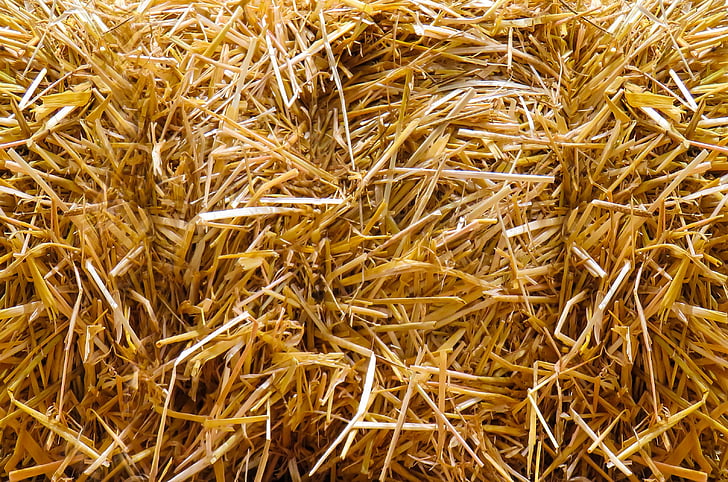 straw, autumn, straw bales, agriculture, close, straw role