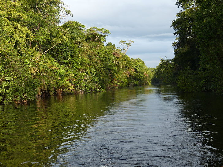 Rzeka, Rainforest, Kostaryka, Ameryka Środkowa, Tropical, zielony, krajobraz