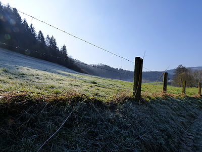 fence, zing, ripe, frozen, barbed wire, morning, pasture
