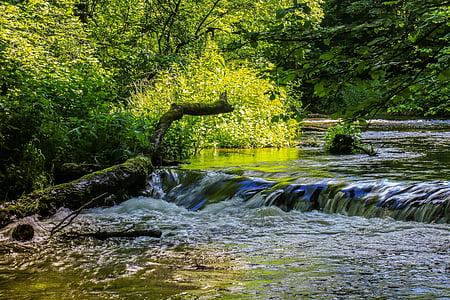 Rijeka, kaskadno, vode, priroda, šuma, krajolik, potok