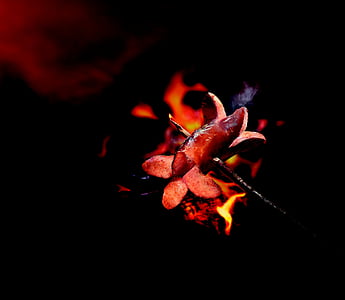 fogo, beneficiar de, churrasco, vermelho, fogo - fenômeno natural, calor - temperatura, flama
