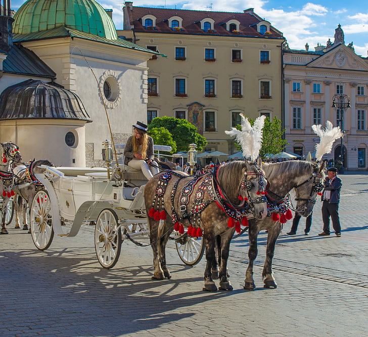 Kraków, Polga, l’Europe, wagon, CAB, cheval, zone