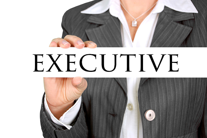 Executive, ärinaine, naiste võimu, spetsialist, naine, emane, naine märk