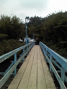 bridge, rio, landscape