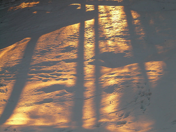 Shadow play, sniega, ziemas, ziemas, gaismu atpakaļ, zelta, saule