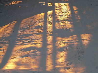 shadow play, snow, winter, wintry, back light, golden, sun