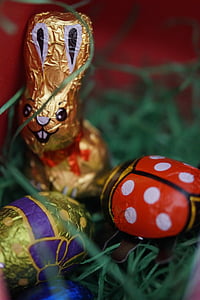 Paskah sarang, Easter rumput, Easter körbchen, Kelinci Paskah, cokelat, Selamat Paskah, Bea Cukai