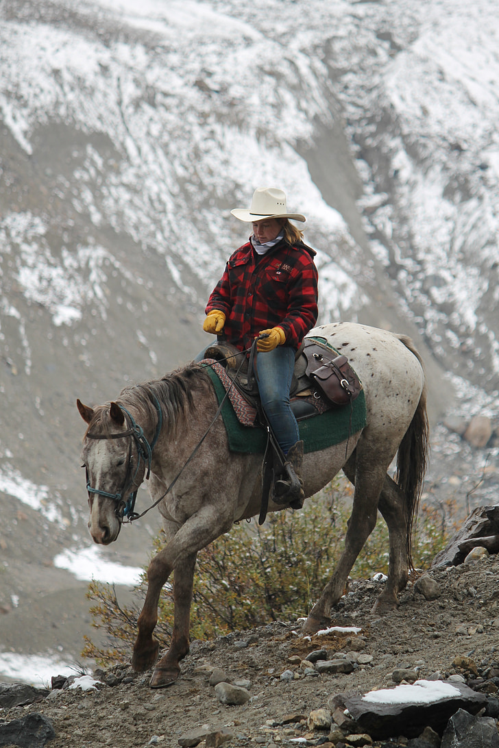 cowgirl, vestlige, kanadiske, fjell, riding, hesteryggen, Alberta