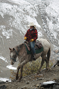 Cowgirl, westlichen, kanadische, Berg, Reiten, dem Rücken der Pferde, Alberta