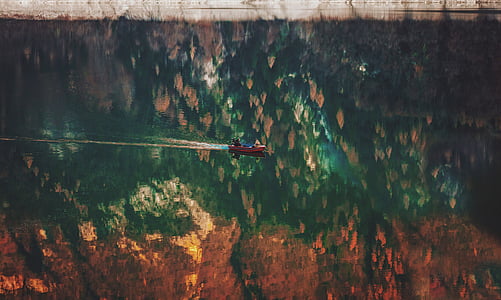 отражая, изображение, деревья, коричневый, лодка, спокойствие, Река