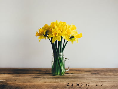 yellow, flower, stem, water, glass, wooden, table
