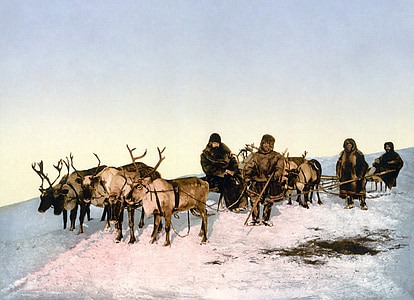reindeer, slide, reindeer sleigh, eskimos, photochrom, arkhangelsk, horse