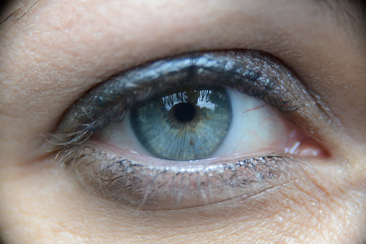 mata, Lihat, Œil kecil, mata manusia, bulu mata, Bagian tubuh manusia, penglihatan