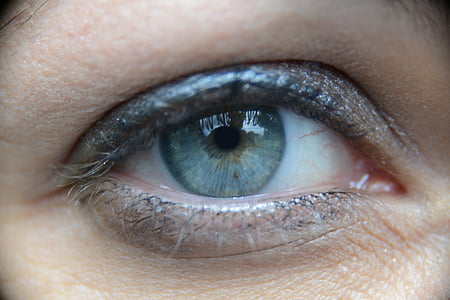 目, ほら, Œil, 人間の目, まつげ, 人間の体の一部, 視力