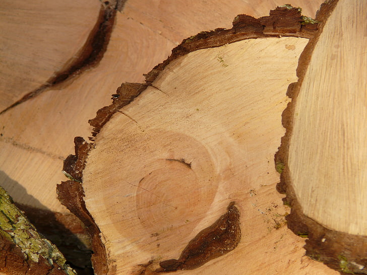 kayu, kayu bakar, melihat, Woodworks, holzstapel, pohon, memotong kayu