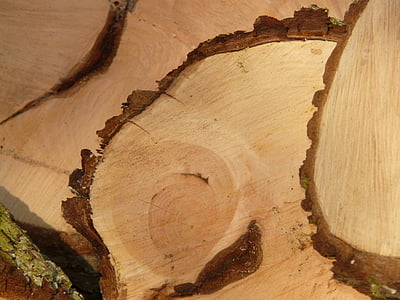 lemn, lemn de foc, văzut, prelucrarea lemnului, holzstapel, copac, cotlet de lemn