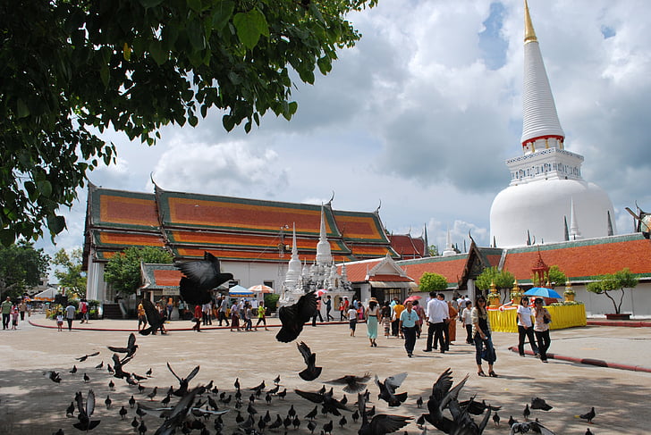 Wat phra mahathat, chrámovými, chrám, holubi, Turisté, svátky, Buddhismus