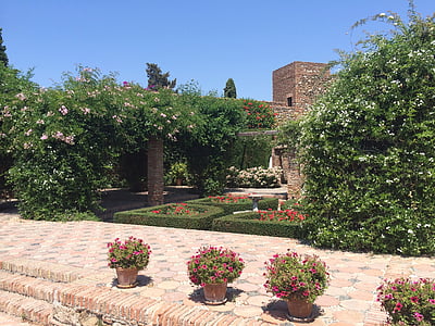 Malaga, Spanien, historiska centrum, trädgård, arkitektur, blomma, formell trädgård