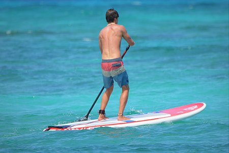 homem, pessoas, paddle, mar, calções de natação, prancha de surf
