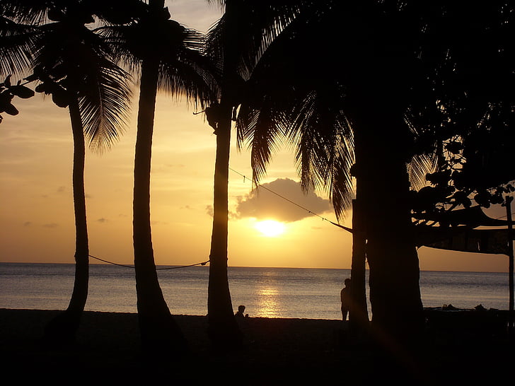 Pantai, matahari terbenam, Guadeloupe, Palm, laut, liburan, langit