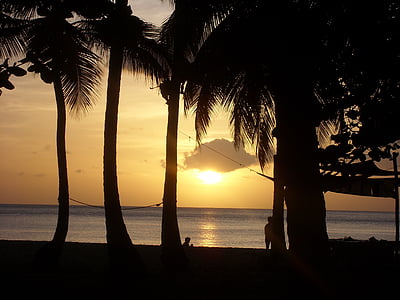 Beach, západ slnka, Guadeloupe, Palm, more, Dovolenka, Sky