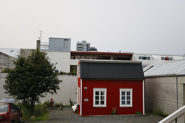 rejkjavik, miesto centre, Islandija, mažai raudona kotedžas