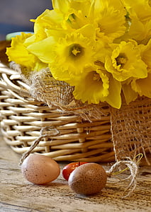 แดฟโฟดิลส์, สีเหลือง, ฤดูใบไม้ผลิ, อีสเตอร์, ตะกร้า, osterkorb, ไข่