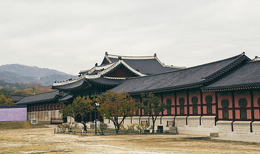 architecture, building, culture, dynasty, forbidden, historic, house