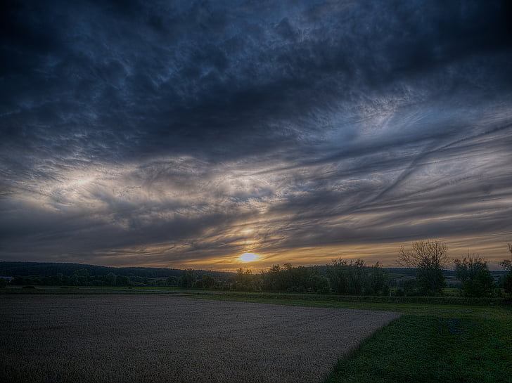 posta de sol, núvols, paisatge, cel de nit, planta