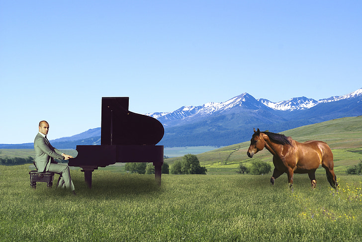 homem, cavalo, compósito, Zumwalt, pianista, ao ar livre, natureza