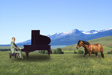hombre, caballo, compuesto, Zumwalt, pianista, al aire libre, naturaleza